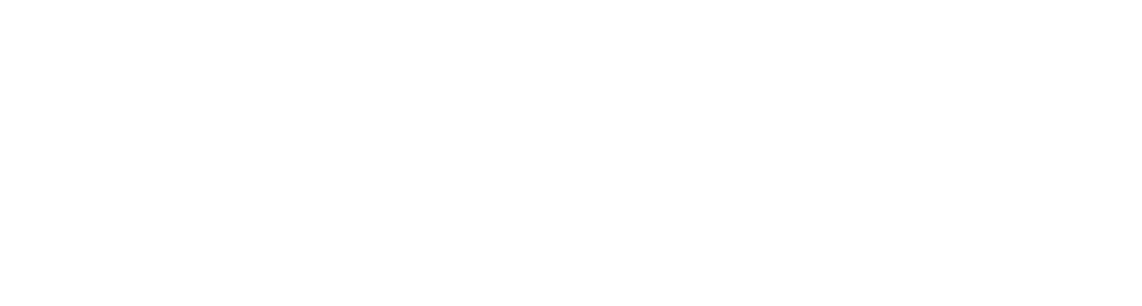 KK Nevėžis